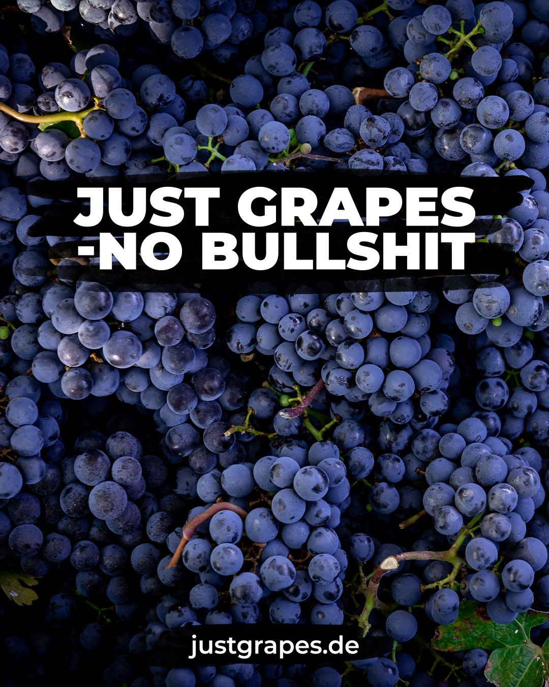 JustGrapes Gutschein - JustGrapes